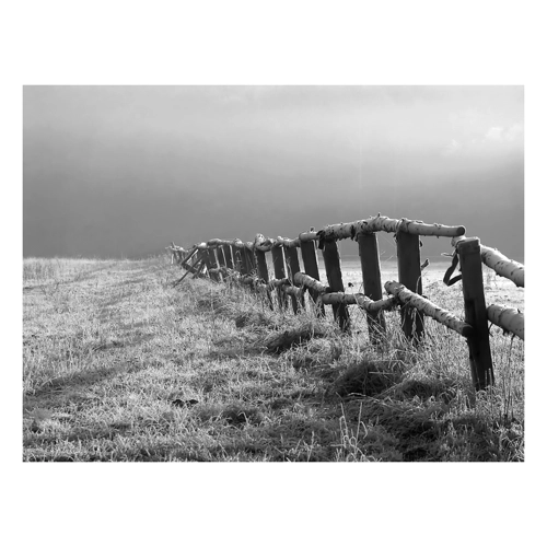 Bild von Papermoon Fototapete Feld Schwarz & Weiß