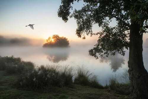Bild von Papermoon Fototapete »See am Wald«