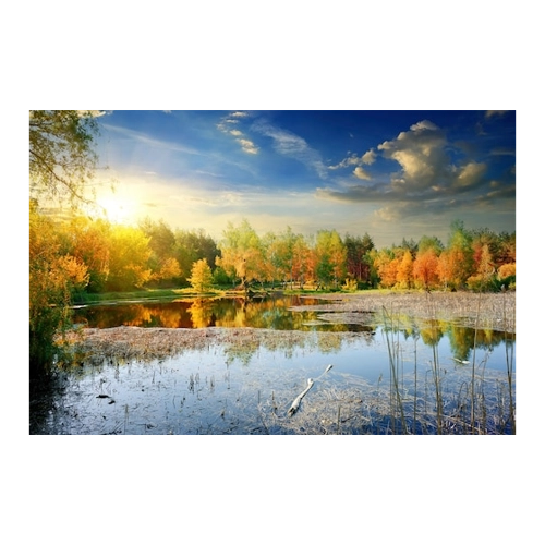 Bild von Papermoon Fototapete "See mit Wald" – Eine stilvolle Wandgestaltung