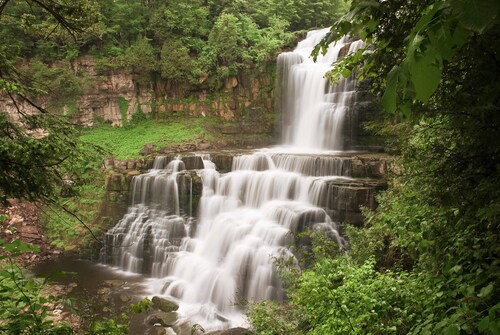 Bild von Papermoon Fototapete »Wasserfall im Wald«
