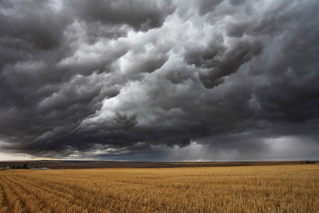 Bild von Papermoon Fototapete "Feld mit Gewitter"