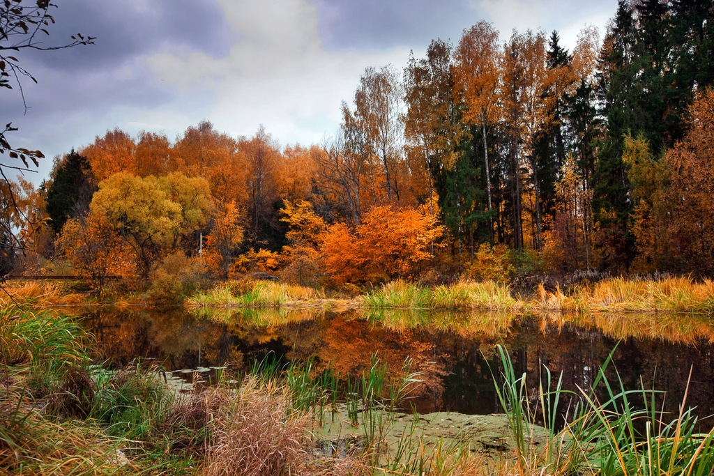 Bild von Papermoon Fototapete "Fluss am Wald"