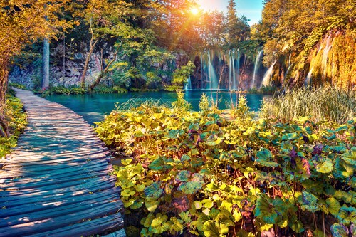 Bild von Papermoon Fototapete »Kirschblüten mit Fluss«
