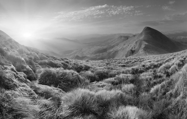 Bild von Papermoon Fototapete "Landschaft Schwarz & Weiß"