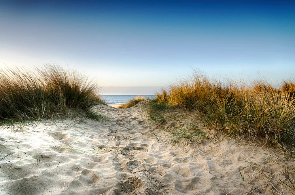 Bild von Papermoon Fototapete "Strand"