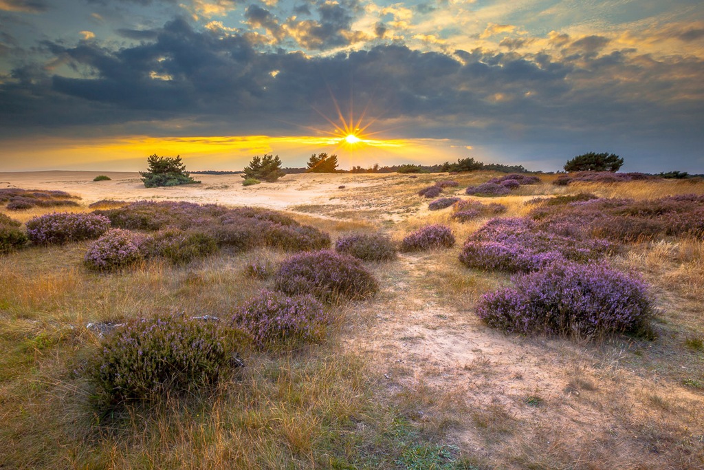 Bild von Papermoon Fototapete "Landschaft"