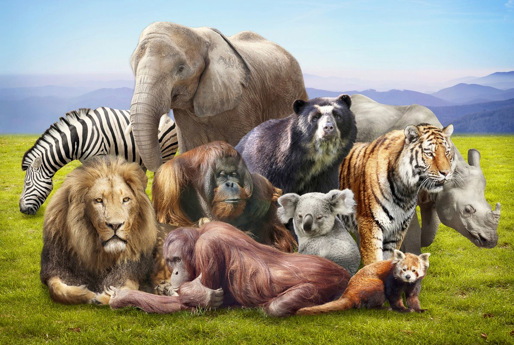 Bild von Papermoon Fototapete "Tiere"