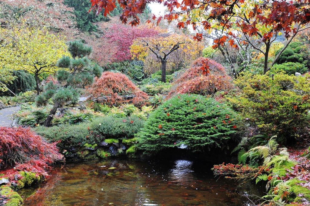 Bild von Papermoon Fototapete "Teich im Garten"