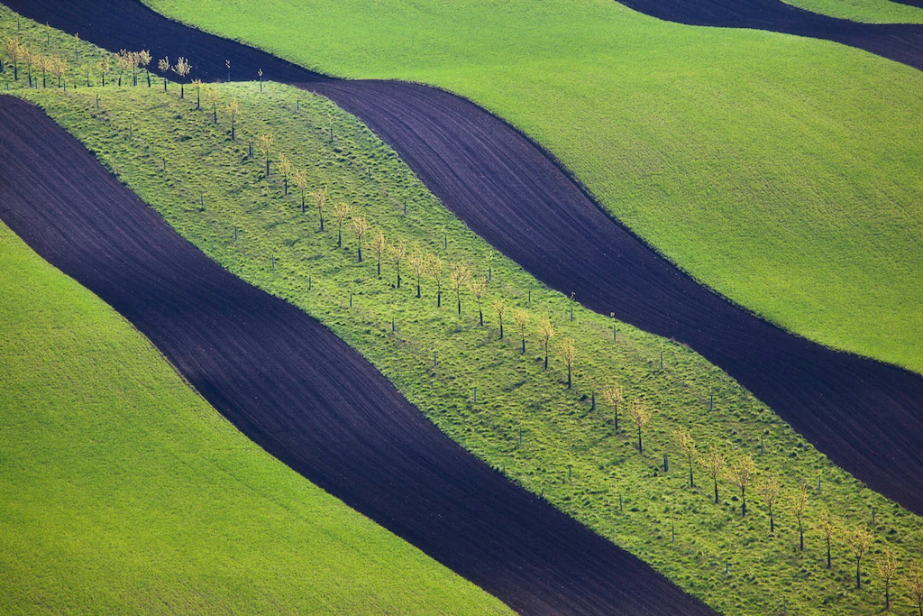 Bild von Papermoon Fototapete "Hügel"
