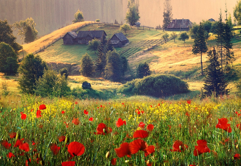 Bild von Papermoon Fototapete "Neblige Sommerlandschaft"