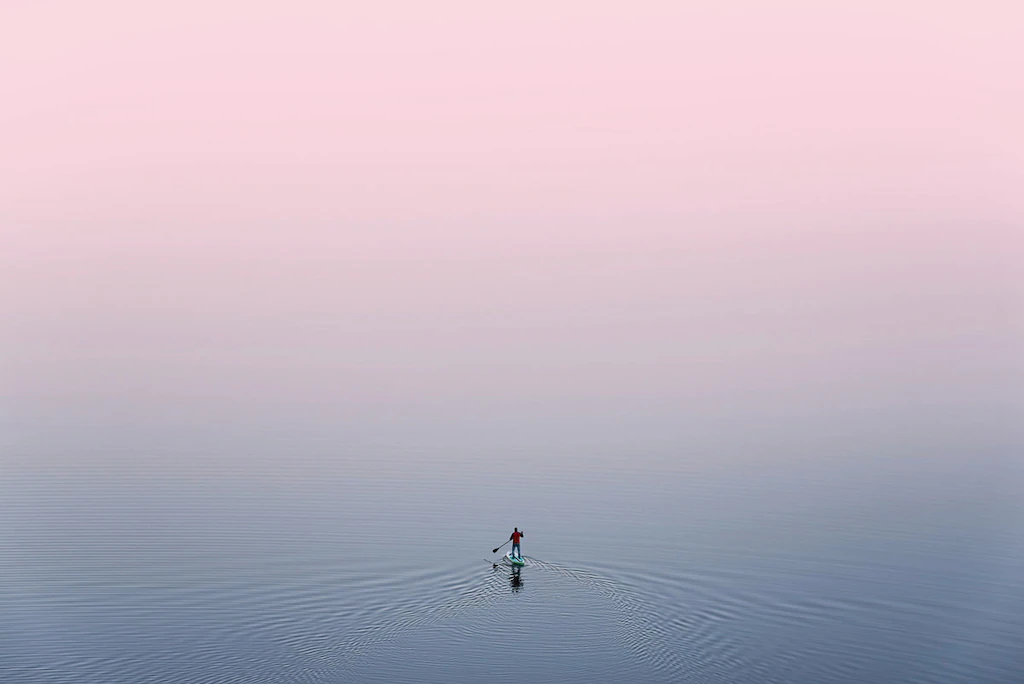 Bild von Papermoon Fototapete "Ente im Wasser"