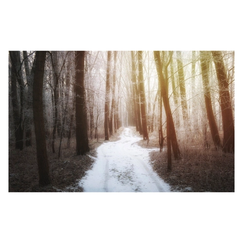 Bild von Papermoon Fototapete »Waldweg« – Eine Natürliche Schönheit für Ihre Wände