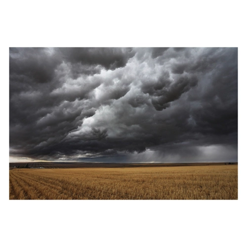 Bild von Papermoon Fototapete »Feld mit Gewitter« – Eine farbenfrohe Wandgestaltung