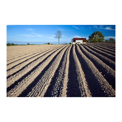 Bild von Papermoon Fototapete "Feld" - Modernes Wohnambiente mit Stil