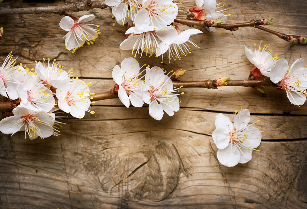 Bild von Papermoon Fototapete "Blumen auf Holz"