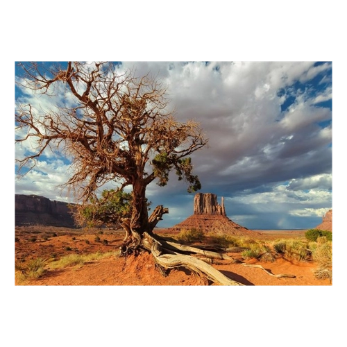 Bild von Papermoon Fototapete "Toter Baum in Wüste"