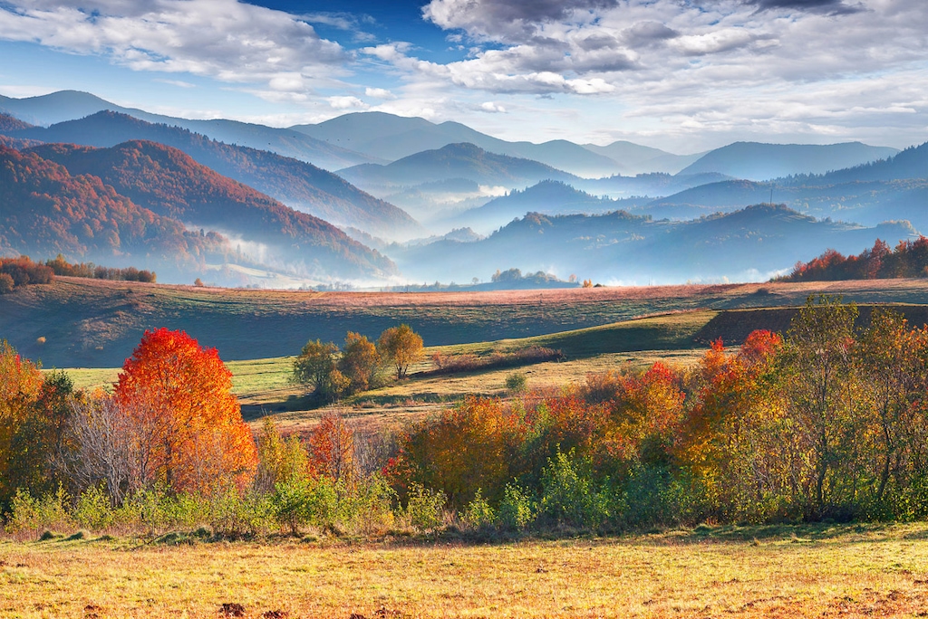 Bild von Papermoon Fototapete "Landschaft"