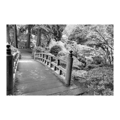 Bild von Papermoon Fototapete »Brücke Schwarz & Weiß« – Ein stilvolles Wandmotiv