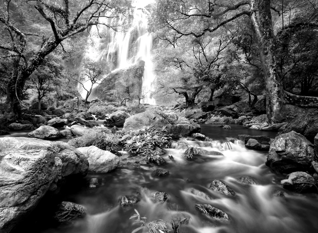 Bild von Papermoon Fototapete "Wasserfall im Wald Schwarz & Weiß"