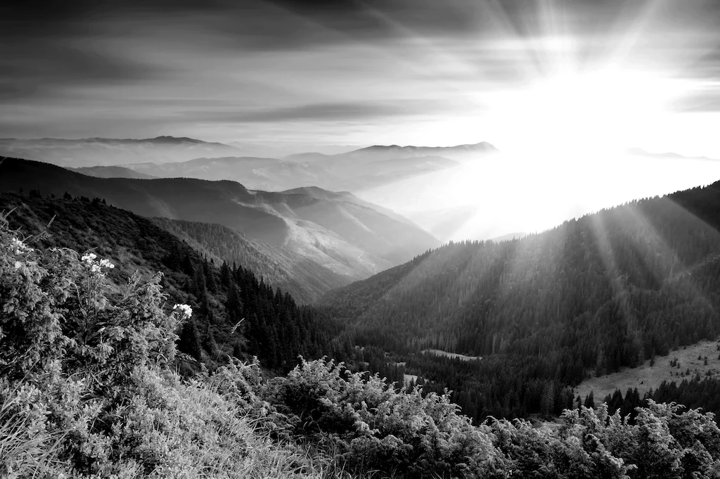 Bild von Papermoon Fototapete "Landschaft Schwarz & Weiß"