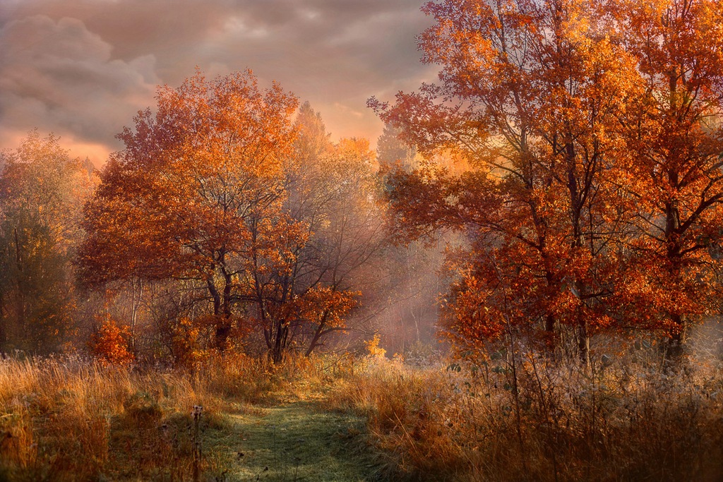 Bild von Papermoon Fototapete "Landschaft"