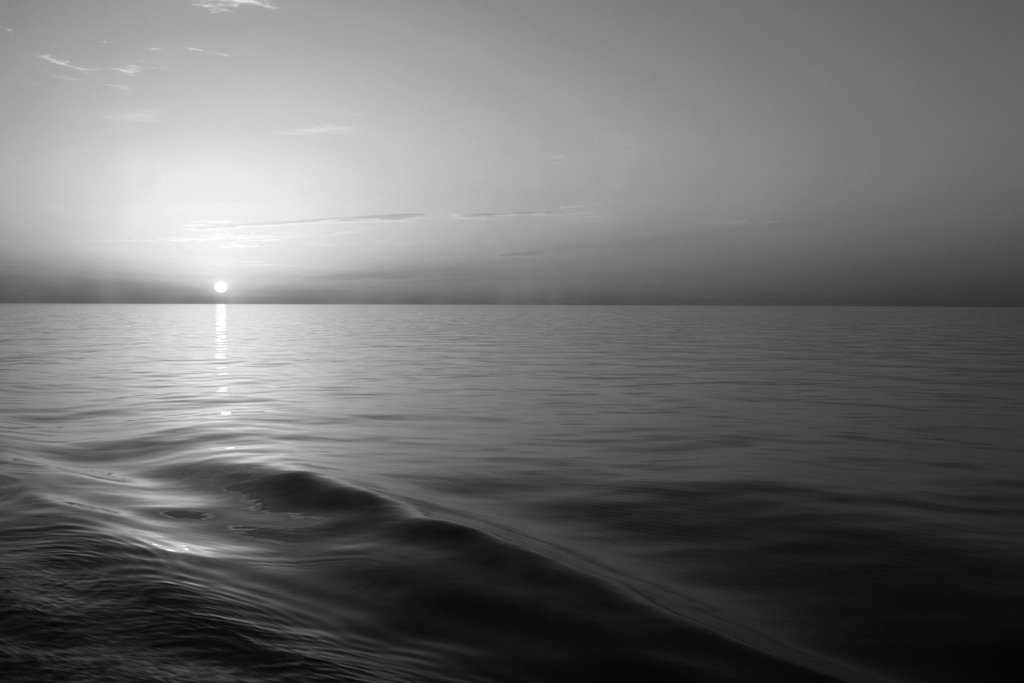 Bild von Papermoon Fototapete "Meer Schwarz & Weiß"