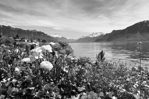 Bild von Papermoon Fototapete "Landschaft Schwarz & Weiß"