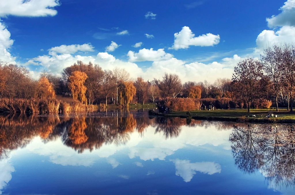 Bild von Papermoon Fototapete "See mit Wald"