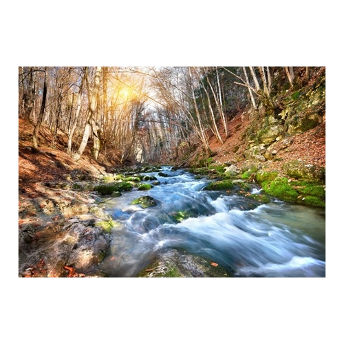 Bild von Papermoon Fototapete »Fluss durch Wald« - Ein Stück Natur für Ihr Zuhause