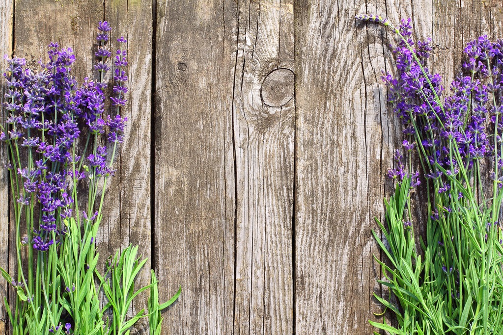 Bild von Papermoon Fototapete "Blumen an Holzwand"