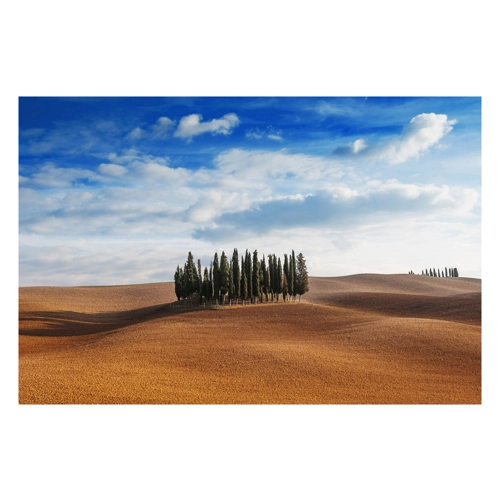 Bild von Papermoon Fototapete »Bäume in Landschaft«