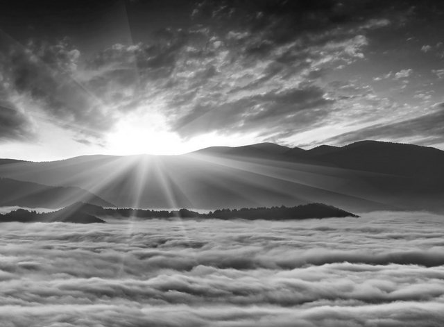 Bild von Papermoon Fototapete "Landschaft Schwarz & Weiß"