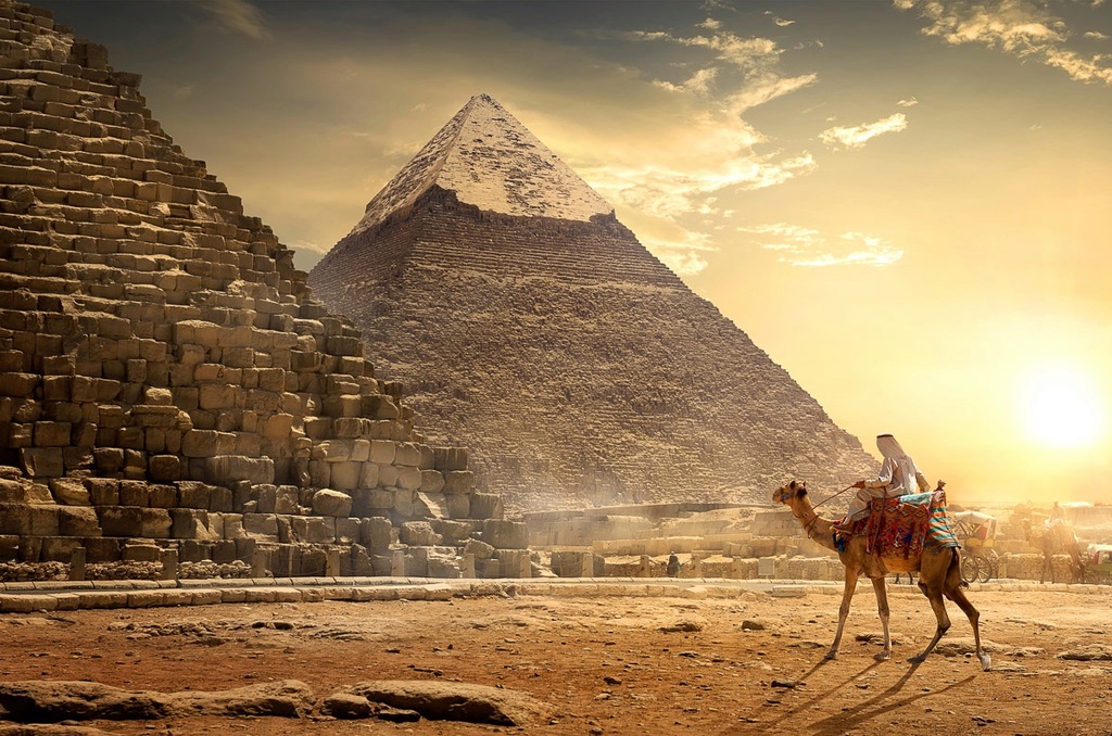 Bild von Papermoon Fototapete "Kamel vor Pyramiden"