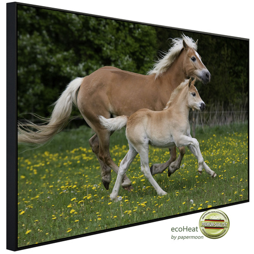 Bild von papermoon Infrarotheizung »EcoHeat - Pferde«, Matt-Effekt - bunt