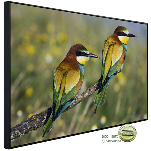 Bild von papermoon Infrarotheizung »EcoHeat - Vogelpaar«, Matt-Effekt - bunt