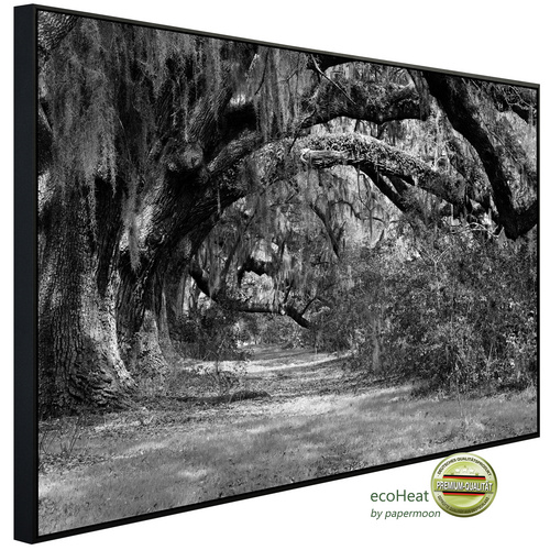 Bild von papermoon Infrarotheizung »EcoHeat - Wald Schwarz + Weiss«, Matt-Effekt - bunt