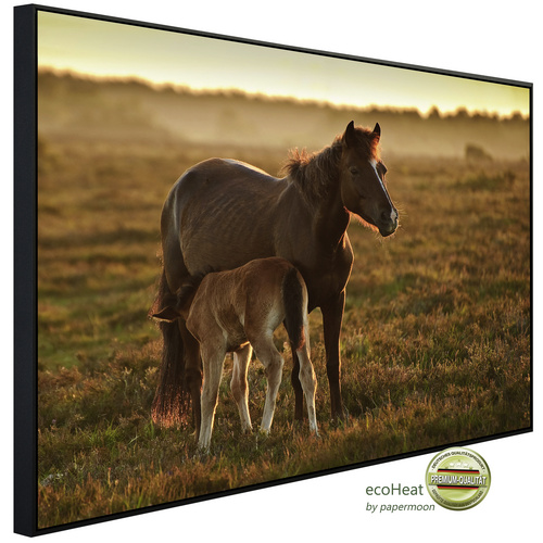 Bild von papermoon Infrarotheizung »EcoHeat - Pferde«, Matt-Effekt - bunt