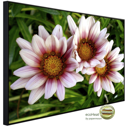 Bild von papermoon Infrarotheizung »EcoHeat - Afrikanische Gazania Blumen«, Matt-Effekt - bunt