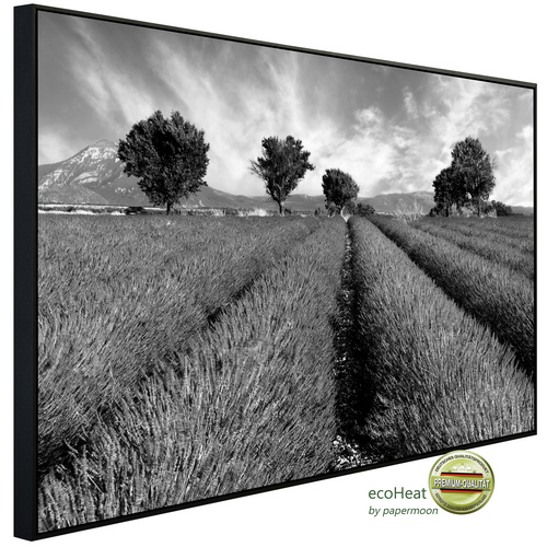 Bild von papermoon Infrarotheizung »EcoHeat - Feld Schwarz + Weiss«, Matt-Effekt - bunt