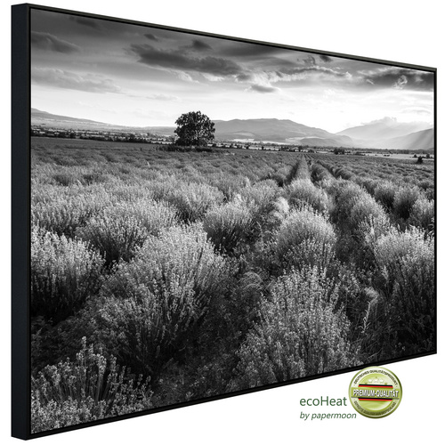 Bild von papermoon Infrarotheizung »EcoHeat - Landschaft Schwarz + Weiss«, Matt-Effekt - bunt