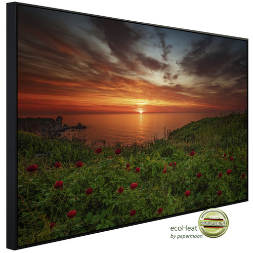 Bild von papermoon Infrarotheizung »EcoHeat - Blumenwiese am Meer«, Matt-Effekt - bunt