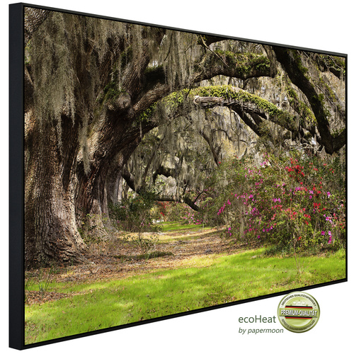 Bild von papermoon Infrarotheizung »EcoHeat - Live Oak Tunnel«, Matt-Effekt - bunt