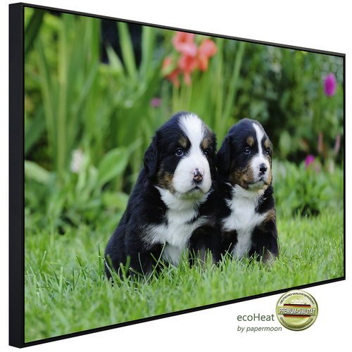 Bild von papermoon Infrarotheizung »EcoHeat - Berner Sennenhunde«, Matt-Effekt - bunt