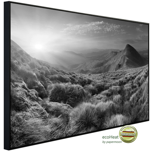 Bild von papermoon Infrarotheizung »EcoHeat - Landschaft Schwarz + Weiss«, Matt-Effekt - bunt