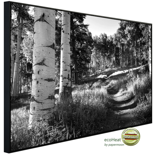 Bild von papermoon Infrarotheizung »EcoHeat - Birkenwald Schwarz + Weiss«, Matt-Effekt - bunt