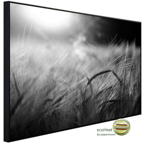 Bild von papermoon Infrarotheizung »EcoHeat - Feld Schwarz + Weiss«, Matt-Effekt - bunt