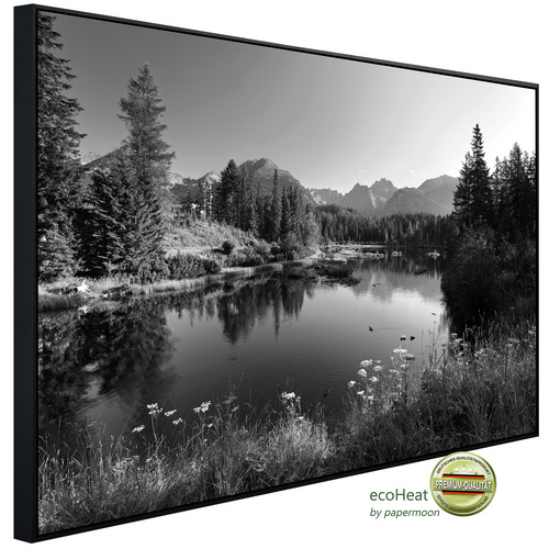 Bild von papermoon Infrarotheizung »EcoHeat - Landschaft Schwarz + Weiss«, Matt-Effekt - bunt