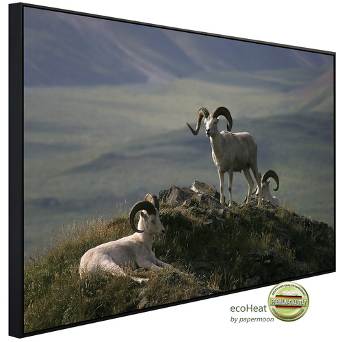 Bild von papermoon Infrarotheizung »EcoHeat - Widder in Landschaft«, Matt-Effekt - bunt