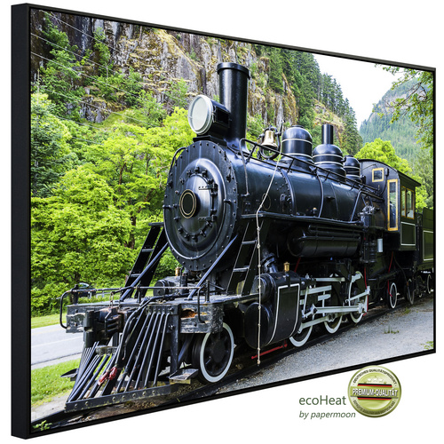Bild von papermoon Infrarotheizung »EcoHeat - Alte Dampflokomotive«, Matt-Effekt - bunt