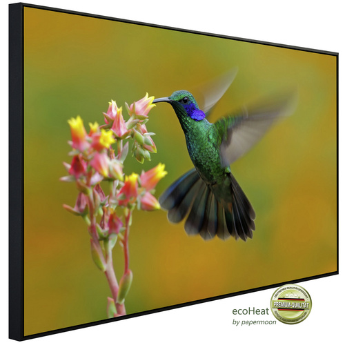 Bild von papermoon Infrarotheizung »EcoHeat - Kolibri Colibri Thalassinus«, Matt-Effekt - bunt